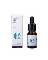 Orchid Humidifier Oil Ocean 1 Piece 10ML Orchid Humidifier Oil Ocean 1 Piece 10ML