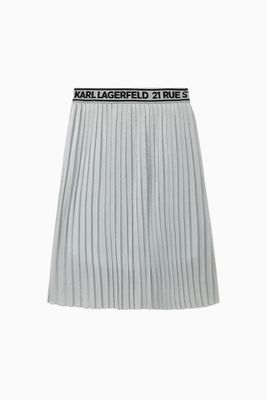 Pleated Skirt Pleated Skirt