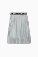 Pleated Skirt - thumbnail