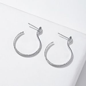 1 Pair Hoop Earrings For Women's Wedding Street Date Alloy Classic Precious Lightinthebox
