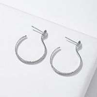 1 Pair Hoop Earrings For Women's Wedding Street Date Alloy Classic Precious Lightinthebox - thumbnail