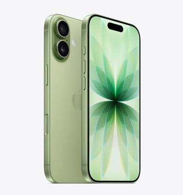 Apple iPhone 17 (UAE), 256GB, 8GB, 6.3 Inch, Sage (Apple Warranty)