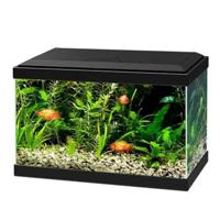 Ciano Aqua 20 Aquarium With Black Led Light 40X20X26Cm