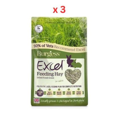 Burgess Excel Fresh Forage Feeding Hay For Small Pets Pack Of 3