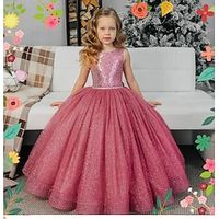 Flower Girl's Dress Kids Girls' Party Dress Solid Color Sleeveless Performance Mesh Princess Sweet Mesh Mid-Calf Sheath Dress Tulle Dress Summer Spring Fall 2-12 Years Rose Red Lightinthebox