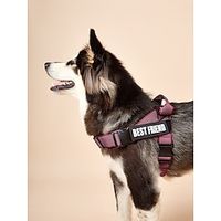 Dog Cat Harness Adjustable Soft Durable Escape Proof Safety Safety Sports Adjustable Running Solid Colored Polyester Small Dog Medium Dog Light Green Light Red Blue Fuchsia 1PC Lightinthebox - thumbnail