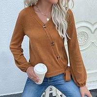 Women's Sweatshirt Pullover Solid Color Active Sportswear Button Brown Casual Sports V Neck Long Sleeve Top Micro-elastic Fall  Winter Lightinthebox - thumbnail