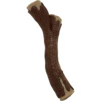 Nylabone Real Wood Stick Strong Dog Stick Chew Toy - Maple Bacon - 1 Count - Wolf - thumbnail