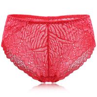 Plus Size Lace See Through Panties - thumbnail