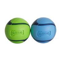 Chuckit! Dog Toy Sniff Fetch Balls Duo - Medium (2 Pack) - thumbnail