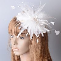 Elegant Retro Feathers Fascinators with Feather 1 Piece Special Occasion  Party  Evening Headpiece Lightinthebox - thumbnail