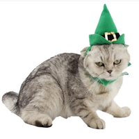 Green Christmas Cats Hats Pet Santa Hat