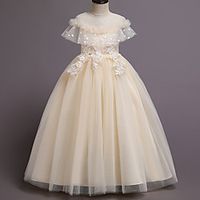 Kids Little Girls' Dress Floral Flower Tulle Dress Party Birthday Lace Trims Print White Light Green Beige Maxi Sleeveless Cute Dresses Children's Day Fall Summer Loose 4-13 Years Lightinthebox - thumbnail