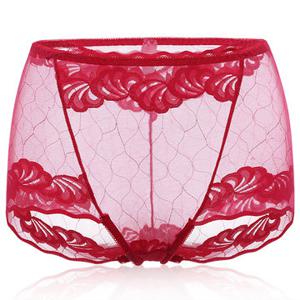 High Waisted Lace Printed Briefs