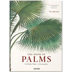 Martius. The Book of Palms | H. Walter Lack