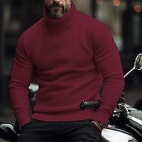 Men's Pullover Sweater Jumper Turtleneck Sweater Knit Sweater Ribbed Knit Regular Knitted Plain Roll Neck Keep Warm Modern Contemporary Casual Daily Wear Clothing Apparel Fall Winter Black White S M L Lightinthebox - thumbnail