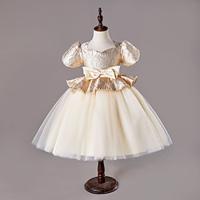 Kids Girls' Party Dress Solid Color Short Sleeve Special Occasion Princess Polyester Party Dress Summer Spring 3-12 Years Champagne Lightinthebox