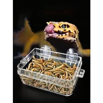 Pets Bowls  Water Bottles  Feeders Plastic Waterproof Easy to Install Splittable Solid Colored Fashion White Bowls  Feeding Daily Wear Lightinthebox