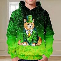 St. Patrick Boys 3D Cat Hoodie Pullover Long Sleeve 3D Print Spring Fall Fashion Streetwear Cool Polyester Kids 3-12 Years Hooded Outdoor Casual Daily Regular Fit Lightinthebox - thumbnail
