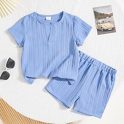 2 Pieces Toddler Boys T-shirt Shorts Outfit Solid Color Short Sleeve V Neck Set School Neutral Fashion Summer 3-7 Years Blue Lightinthebox