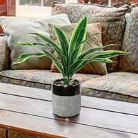 Simulated Evergreen Magnolia Tree (Excluding Flower Pots) Suitable For Home Desktop Decoration, Garden Landscape Decoration, Flower Art Diy miniinthebox - thumbnail