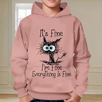 Boys 3D Cat Letter Hoodie Pullover Long Sleeve 3D Print Spring Fall Fashion Streetwear Designer Polyester Kids 3-12 Years Hooded Outdoor Casual Daily Regular Fit Lightinthebox