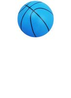For Pet Hard Balls For Dogs - Basketball