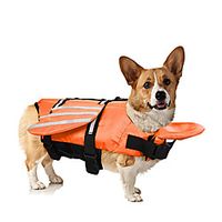 Dog Dog Life Jacket Beach Pool Dog Clothes Puppy Clothes Dog Outfits Sports Outdoors Pink Orange Costume for Girl and Boy Dog Polyester XS S M L XL miniinthebox Dog Dog Life Jacket Beach Pool Dog Clothes Puppy Clothes Dog Outfits Sports Outdoors Pink Orange Costume for Girl and Boy Dog Polyester XS S M L XL miniinthebox