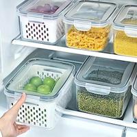 Square BPA-Free Freshness Containers with Easy Drain Hand-Washable, Multipurpose Fridge Organizers Lightinthebox