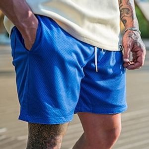 Men's Athletic Shorts Running Shorts Gym Shorts Mesh Shorts Sports Going out Weekend Breathable Quick Dry Running Casual Pocket Drawstring Elastic Waist Plain Knee Length Gymnatics Activewear Black Lightinthebox