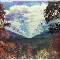 Innerspeaker (2 Discs) | Tame Impala