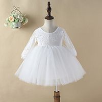 Kids Little Girls' Dress Flower Tulle Dress Wedding Special Occasion Mesh Lace White Above Knee 34 Length Sleeve Dresses Fall Winter Regular Fit 2-6 Years Lightinthebox - thumbnail