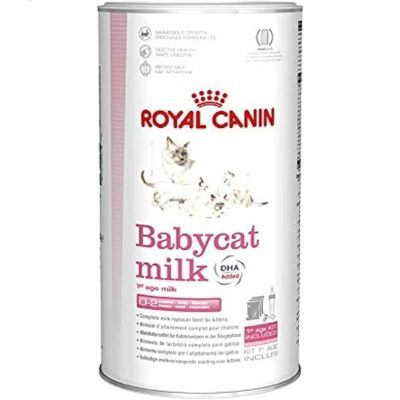 Royal Canin Feline Health Nutrition Baby Cat Milk 300gm Adult Dry Cat Food
