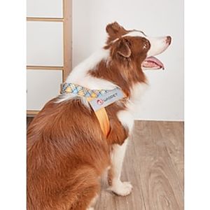 Dog Cat Harness Vest Adjustable Flexible Safety Safety Sports Adjustable Outdoor Color Block Solid Colored Polyester Small Dog Medium Dog Large Dog Pink Blue Purple Orange Brown 1PC Lightinthebox