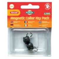 Petsafe Collar Key Pack, Silver - thumbnail