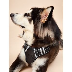Dog Cat Harness Adjustable Escape Proof Safety Safety Sports Adjustable Outdoor Running Walking Solid Colored Polyester Small Dog Medium Dog Large Dog Black 1PC Lightinthebox