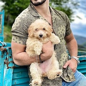 Men's Shirt Vintage Turndown Street Casual Button-Down Print Short Sleeve Tops Casual Fashion Breathable Comfortable Brown Lightinthebox