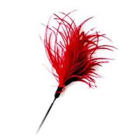 Pawsitiv Interactive Cat Teaser Wand Toy Feather Red Small