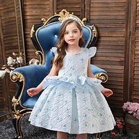 Kids Girls' Party Dress Graphic Short Sleeve Formal Performance Anniversary Fashion Princess Cotton Flower Girl's Dress Summer Spring Fall 2-12 Years Champagne Red Blue Lightinthebox