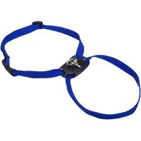 Coastal 1 Inch Size Right Harness - Large - Blue - thumbnail