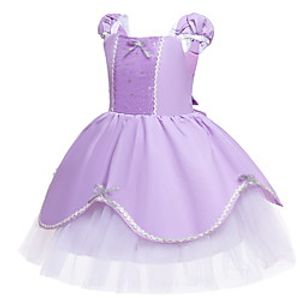 Kids Little Girls' Dress Solid Colored A Line Dress Party Birthday Mesh Lace Puff Sleeve Purple Maxi Sleeveless Princess Cute Dresses Fall Summer Regular Fit 2-6 Years Lightinthebox