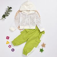Kids Girls' Clothing Set 2 Piece Long Sleeve Green Color Block Patchwork Daily Wear Basic Regular 2-6 Years miniinthebox - thumbnail