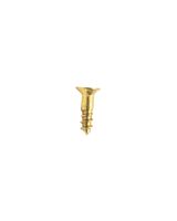 Homesmiths B.P Wood Screw 1/2" X 6 mm