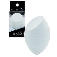 Water -In-Sponge