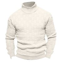 Men's Pullover Sweater Jumper Turtleneck Sweater Knit Sweater Ribbed Cable Knit Regular Knitted Plain Turtleneck Keep Warm Modern Contemporary Daily Wear Going out Clothing Apparel Fall Winter Black Lightinthebox - thumbnail