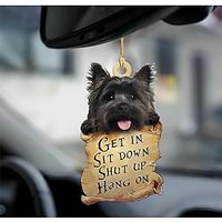 Car Hanging Ornament,Acrylic 2D Flat in The Hands of God Printed 2D Flat Keychain, Optional Acrylic Ornament and Car Rear View Mirror Accessories Memorial Gifts Pack miniinthebox - thumbnail