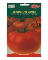 Euro Garden Tomato Big - thumbnail