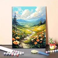 1pc DIY Acrylic Painting Set for Adults Mountain Scenery 16 20 Inch Easy to Follow Manual Relaxing and Decorative Hobby Lightinthebox