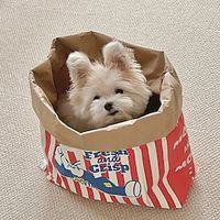 13pcs Popcorn Shaped Brown Paper Bag For PetCat  Dog Intelligence Toys And Stress Relief Play Lightinthebox - thumbnail