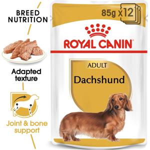 Royal Canin Breed Health Nutrition Dachshund Adult (Wet Food - Pouches)